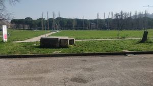 campus pulizia