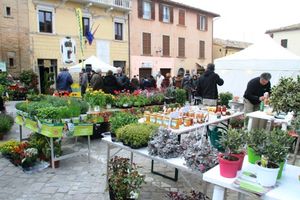 Festa alberi 3