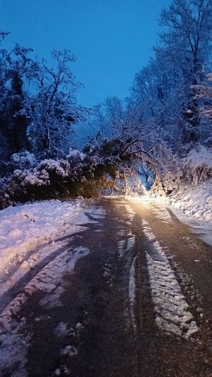 sp 26 sette gennaio