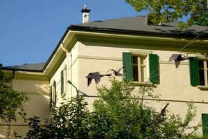 La Casa degli Artisti di Sant Anna del Furlo