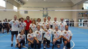 torelli sei torelli sei