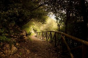 Passeggiata al Furlo Passeggiata al Furlo