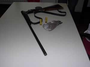 tortora uccisa e fucile sequestrato