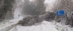 sp 26 neve
