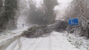 sp 26 neve