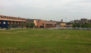 Sfalcio erba svolto al Campus di Pesaro Sfalcio erba svolto al Campus di Pesaro