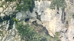 Aquile 1